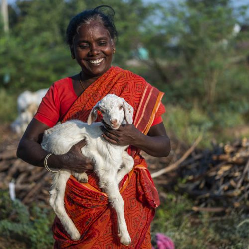 Product Launch Event