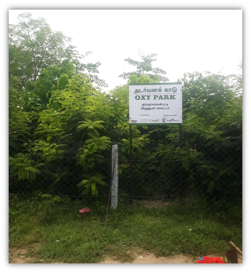 Community Empowerment